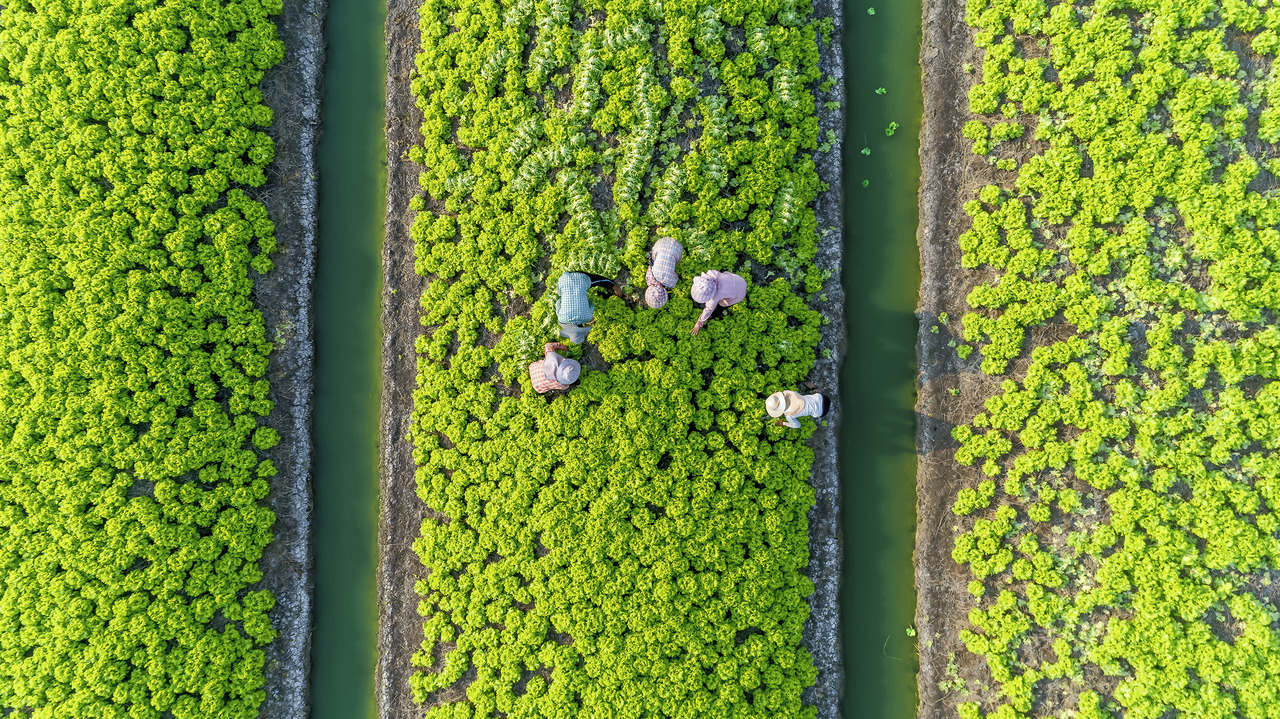 de-ba carbon footprint 1280-720.jpg